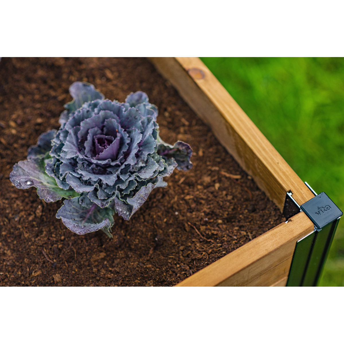 Mezza Keyhole Composting Wood Raised Garden Bed